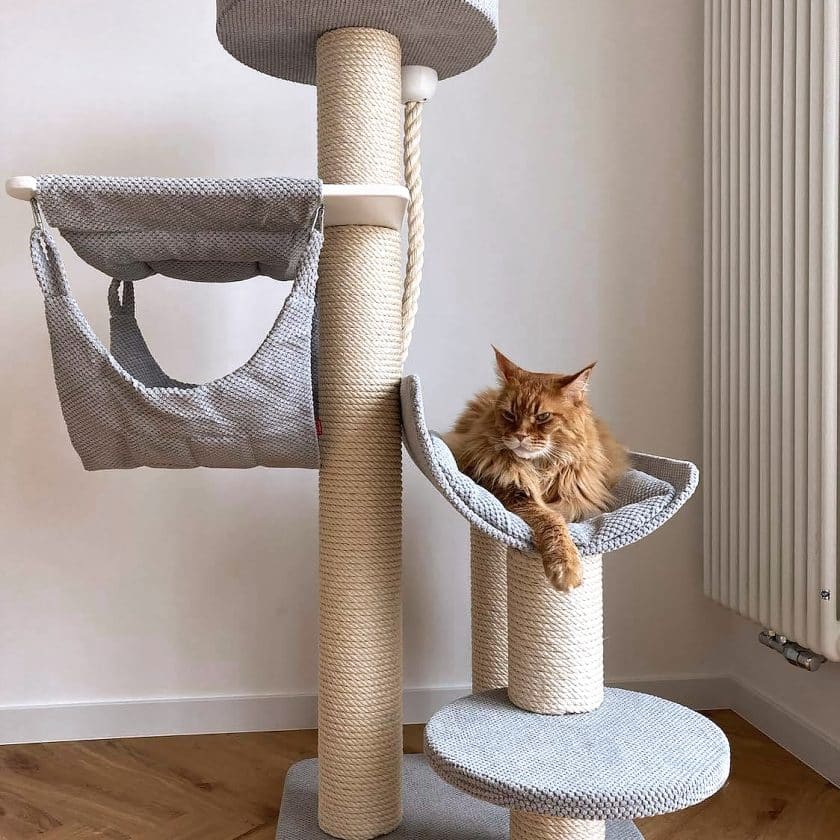 Basic cat tree with upper rosette and double hammock on a wooden base upholstered with fabric of your choice.