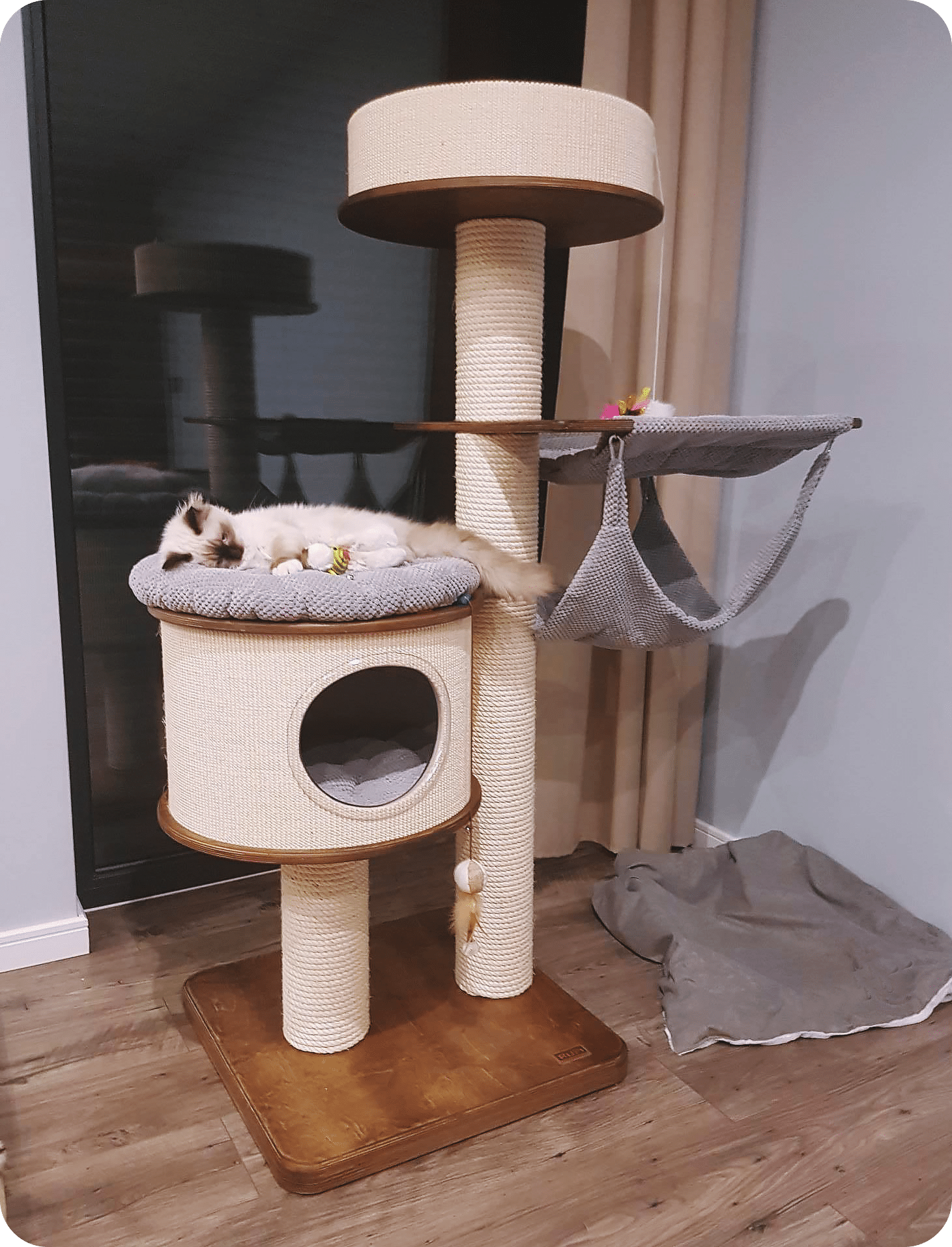 Rascador Exclusivo para gatos