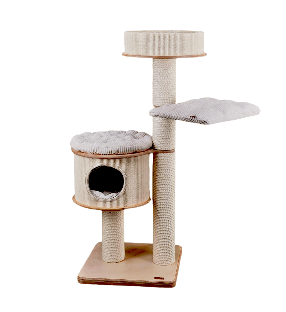 Rascador exclusivo para gatos